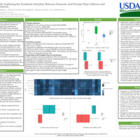 Cultivating Growth: Exploring the Symbiotic Interplay Between Domestic and Foreign Hop Cultivars and Nitrogen-Fixing Bacteria