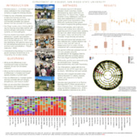 Understanding Differences in the Biology of Domestic and Imported Cultivars of Hops (Humulus lupulus L.) in San Diego