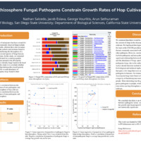 Do Rhizosphere Fungal Pathogens Constrain Growth Rates of Hop Cultivars?