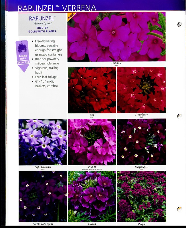 2005_annuals_the_flower_fields_0040.jpg