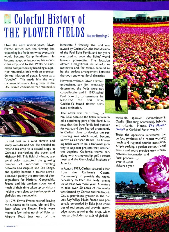 Flower_Fields_Carlsbad_Ranch_0006.jpg