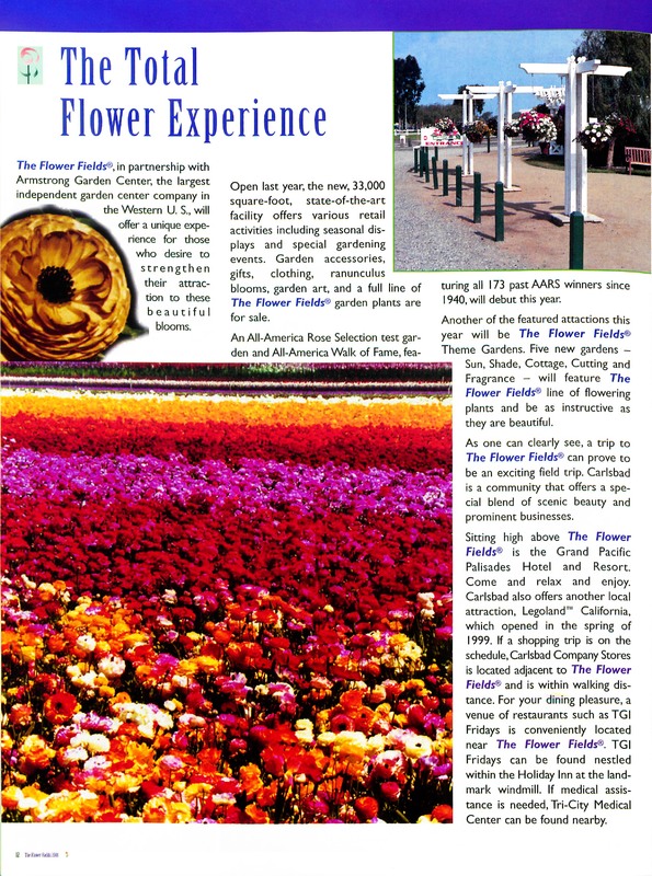 Flower_Fields_Carlsbad_Ranch_0012.jpg