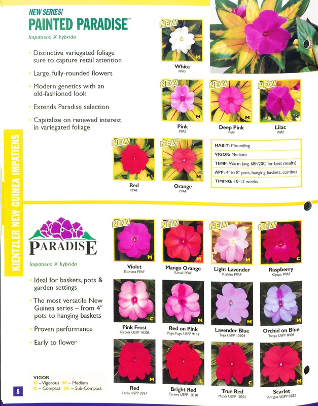 2002_annuals_flower_fields_0008.jpg