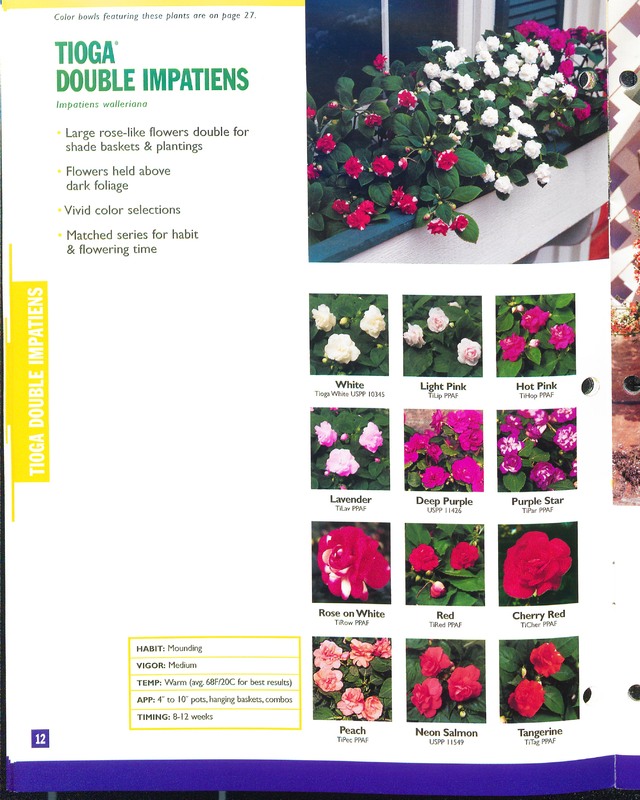2002_annuals_flower_fields_0012.jpg