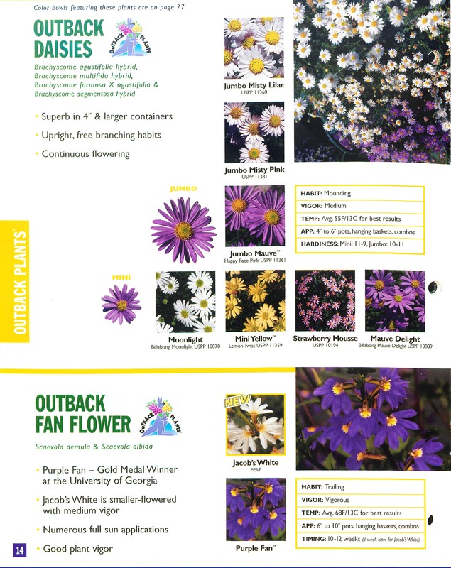 2002_annuals_flower_fields_0014.jpg