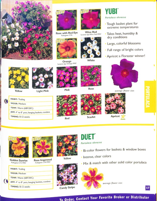 2002_annuals_flower_fields_0017.jpg