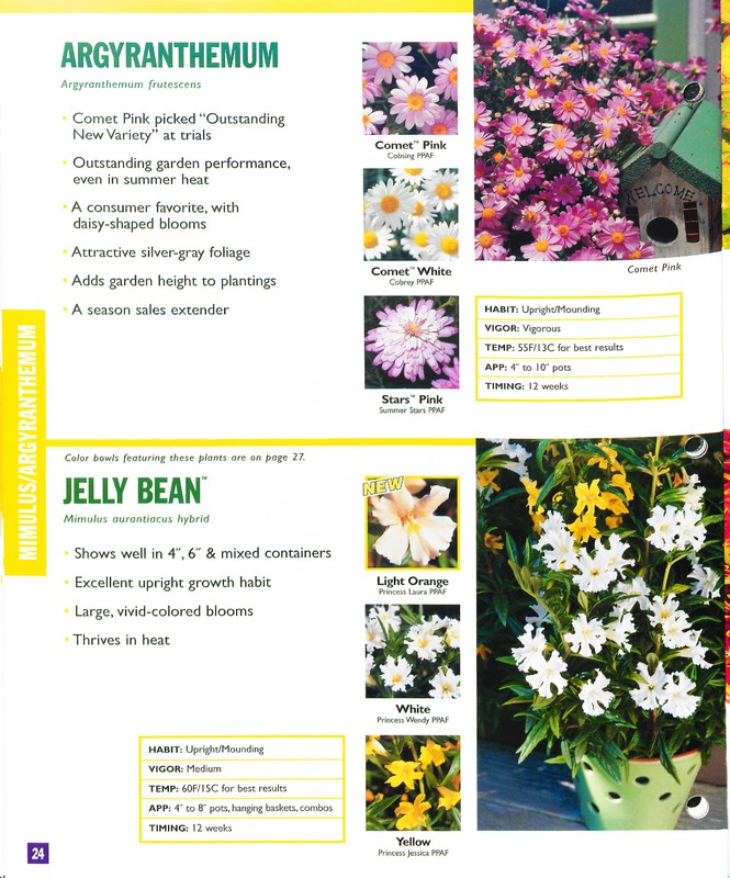 2002_annuals_flower_fields_0024.jpg