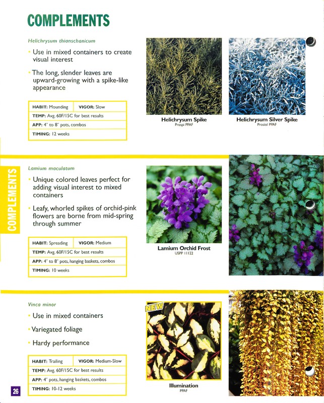 2002_annuals_flower_fields_0026.jpg