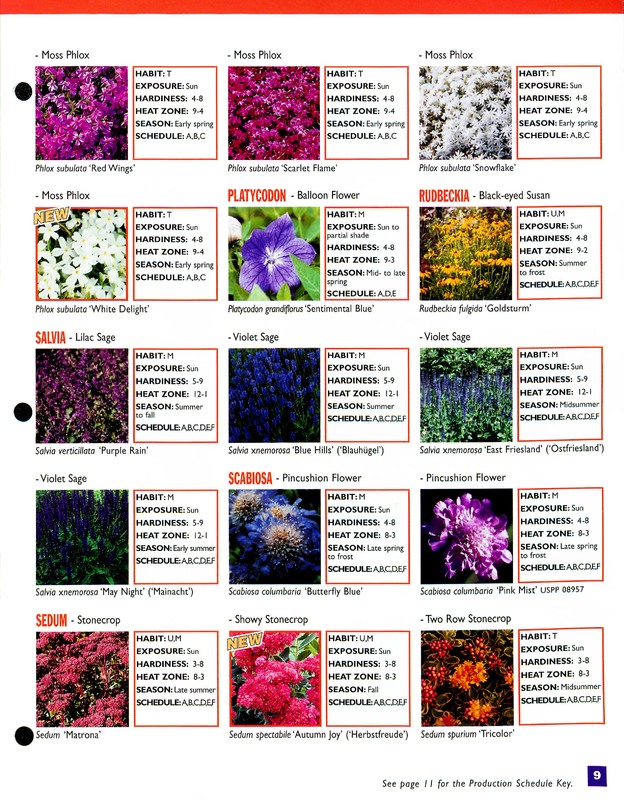 2002_perennials_flower_fields_0009.jpg
