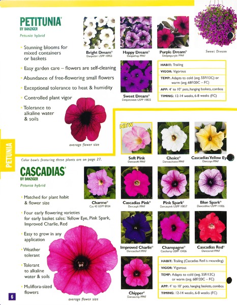 2002_annuals_flower_fields_0006.jpg