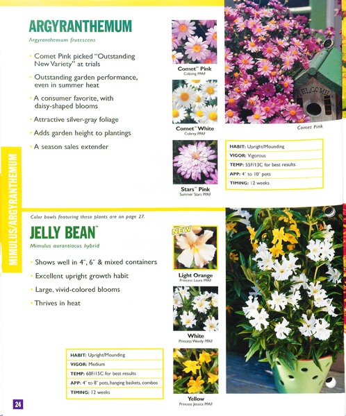 2002_annuals_flower_fields_0024.jpg