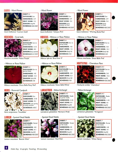 2002_perennials_flower_fields_0006.jpg